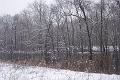 Snow 019
